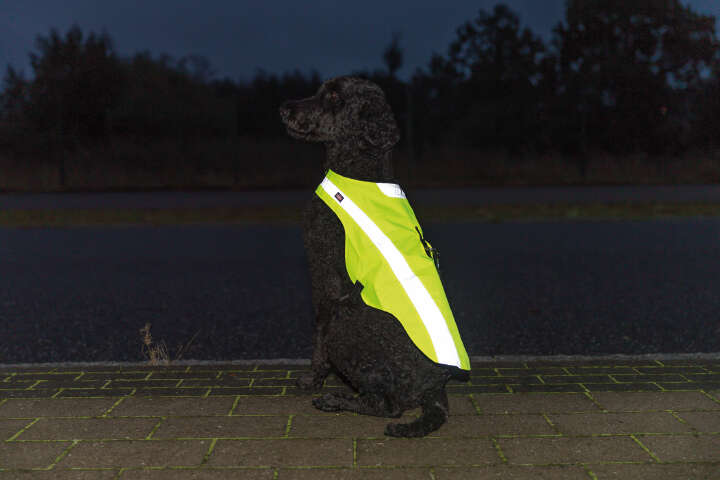 TRIXIE Sicherheitsweste für Hunde